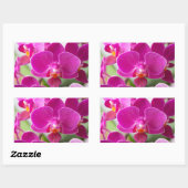 Sticker Rectangulaire Fleur d'orchidées roses - Modèle d'orchidées flora (Feuille)