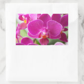 Sticker Rectangulaire Fleur d'orchidées roses - Modèle d'orchidées flora (Sac)