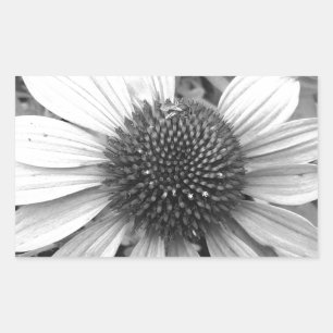 Sticker Rectangulaire Fleur en noir et blanc
