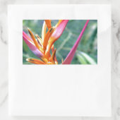Sticker Rectangulaire Fleur Heliconia améliorée (Sac)