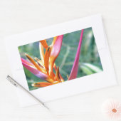 Sticker Rectangulaire Fleur Heliconia améliorée (Enveloppe)