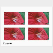 Sticker Rectangulaire Fleur Hibiscus Rouge Avec Raindrops Photo (Feuille)