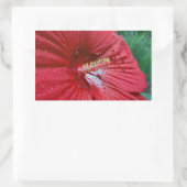 Sticker Rectangulaire Fleur Hibiscus Rouge Avec Raindrops Photo (Sac)