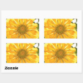 Sticker Rectangulaire Fleur jaune fleurie jaune marguerite jaune (Feuille)