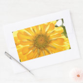 Sticker Rectangulaire Fleur jaune fleurie jaune marguerite jaune (Enveloppe)