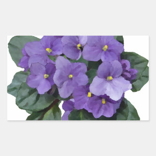 Sticker Rectangulaire Fleur pourpre de jardin de violette africaine