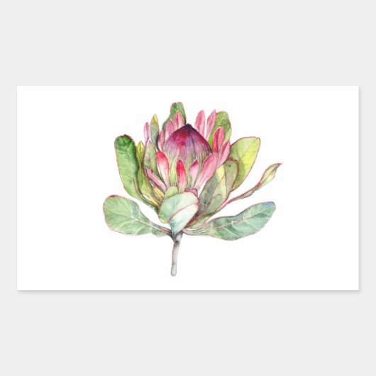 Sticker Rectangulaire Fleur Protea (Devant)