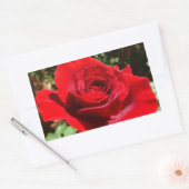 Sticker Rectangulaire Fleur rose rouge vif Belle florale (Enveloppe)