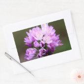 Sticker Rectangulaire Fleur sauvage (Enveloppe)