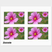 Sticker Rectangulaire Fleur sauvage de fleurs Cosmos roses (Feuille)