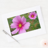 Sticker Rectangulaire Fleur sauvage de fleurs Cosmos roses (Enveloppe)