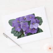 Sticker Rectangulaire Fleur violet violet de jardin d'Afrique (Enveloppe)