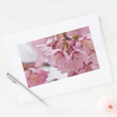 Sticker Rectangulaire Fleurs de cerisier Sakura rose pâle (Enveloppe)