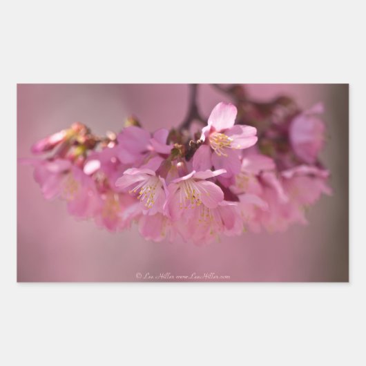 Sticker Rectangulaire Fleurs de cerisier Source thermale Vêtements & Ca (Devant)
