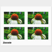 Sticker Rectangulaire Fleurs de cônes blanches et orange (Feuille)