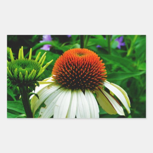 Sticker Rectangulaire Fleurs de cônes blanches et orange (Devant)