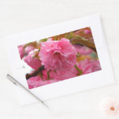 Sticker Rectangulaire Fleurs de fleurs de cerisier rose chaud (Enveloppe)