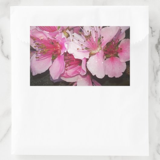 Sticker Rectangulaire Fleurs de pêche (Sac)