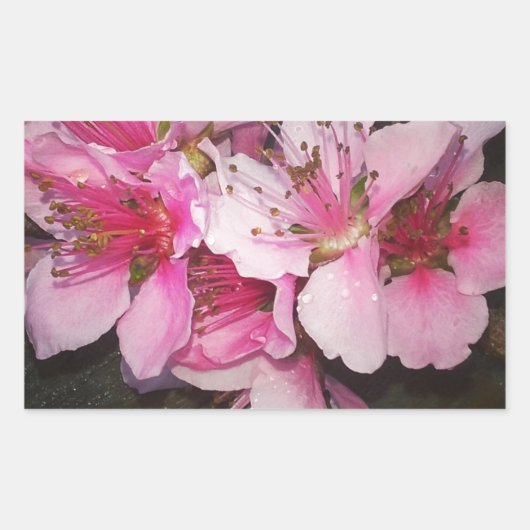 Sticker Rectangulaire Fleurs de pêche (Devant)