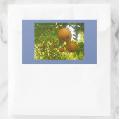 Sticker Rectangulaire Fleurs de poires (Sac)