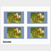 Sticker Rectangulaire Fleurs de poirier (Feuille)