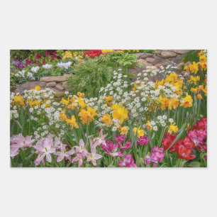 Sticker Rectangulaire Fleurs de printemps colorées en pleine floraison