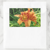 Sticker Rectangulaire Fleurs d'hémérocalles orange Horizontal (Sac)