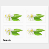 Sticker Rectangulaire Fleurs d'oranger (Feuille)