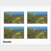 Sticker Rectangulaire Fleurs et mouettes sur l'île Anacapa (Feuille)