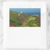 Sticker Rectangulaire Fleurs et mouettes sur l'île Anacapa (Sac)