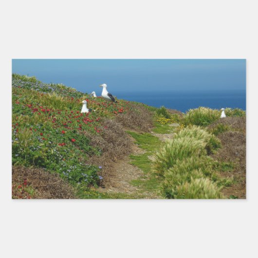 Sticker Rectangulaire Fleurs et mouettes sur l'île Anacapa (Devant)