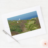 Sticker Rectangulaire Fleurs et mouettes sur l'île Anacapa (Enveloppe)