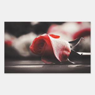 Sticker Rectangulaire Fleurs roses vintages