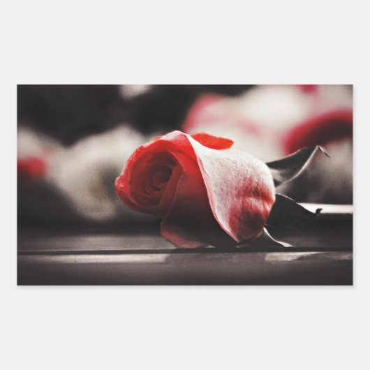 Sticker Rectangulaire Fleurs roses vintages (Devant)