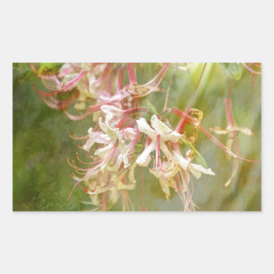 Sticker Rectangulaire Fleurs sauvages de l'Azalée = Printemps