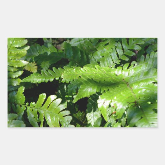 Sticker Rectangulaire Fleurs vertes du printemps des bois (Devant)