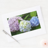 Sticker Rectangulaire Floral bleu violet fleuri rose rose Hydrangeas (Enveloppe)