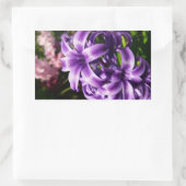Sticker Rectangulaire Floral Blue Hyacinth (Sac)