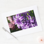 Sticker Rectangulaire Floral Blue Hyacinth (Enveloppe)