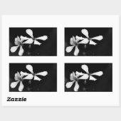 Sticker Rectangulaire floral noir et blanc minimal (Feuille)