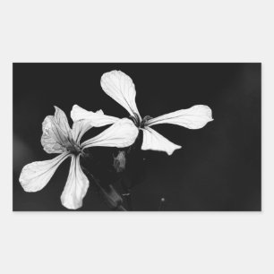 Sticker Rectangulaire floral noir et blanc minimal