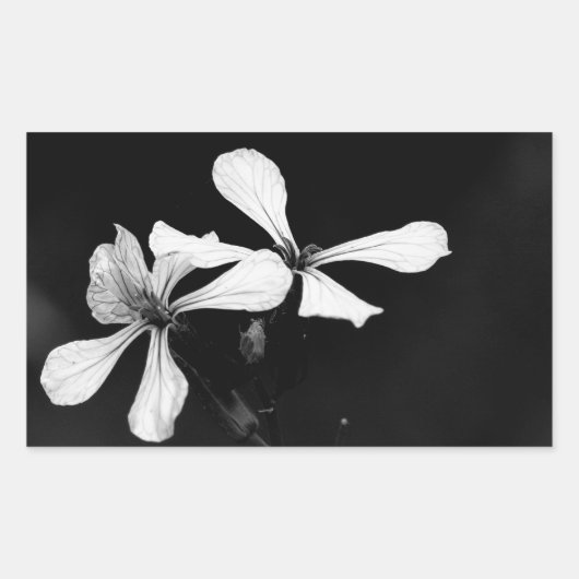 Sticker Rectangulaire floral noir et blanc minimal (Devant)