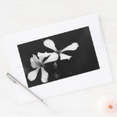 Sticker Rectangulaire floral noir et blanc minimal (Enveloppe)