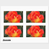Sticker Rectangulaire Floral Rose orange (Feuille)