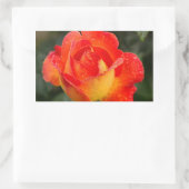 Sticker Rectangulaire Floral Rose orange (Sac)