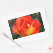 Sticker Rectangulaire Floral Rose orange (Enveloppe)