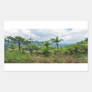 Sticker Rectangulaire Flore et paysage des montagnes du luquillo
