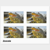 Sticker Rectangulaire Floride Alligators Face à face (Feuille)
