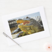 Sticker Rectangulaire Floride Alligators Face à face (Enveloppe)