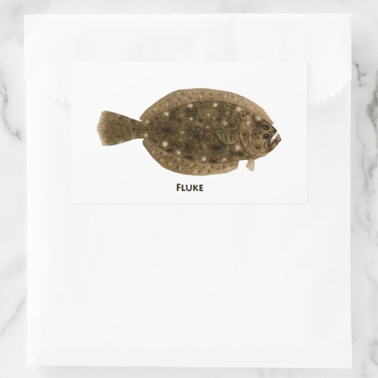Sticker Rectangulaire Fluke (Sac)